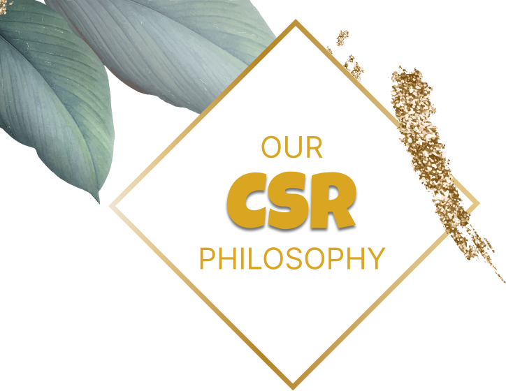 CSR Image